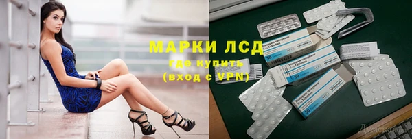 МДПВ Ельня
