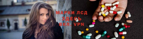 гашик Галич