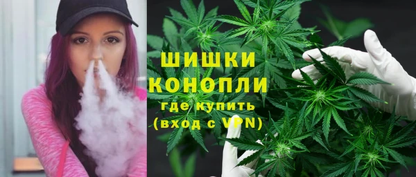 МДПВ Ельня