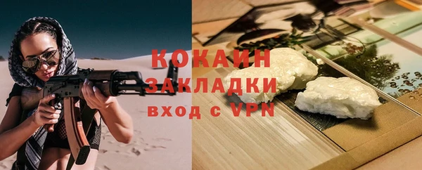 МДПВ Ельня
