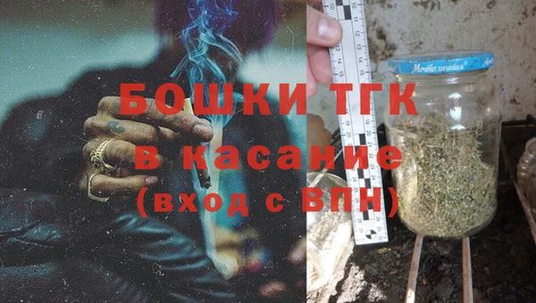 гашик Галич