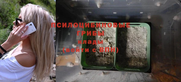 бутират Елабуга