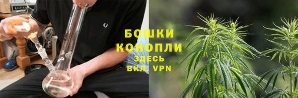 гашик Галич